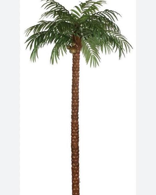 Artificial Palm tree
Kuubwa sana zipo dukan
Urefu 2.5 metre
Tsh 140,000